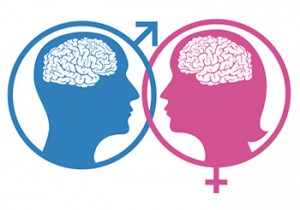 cervello maschile femminile