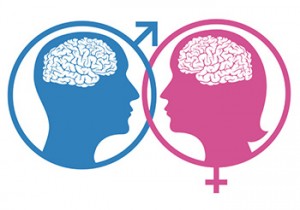 cervello maschile femminile