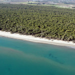 Metaponto spiaggia