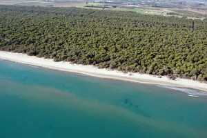 Metaponto spiaggia