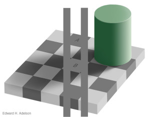 percezione dei colori - adelson