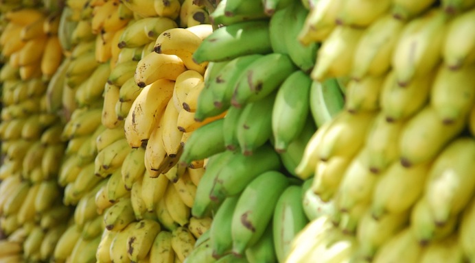 percezione dei colori - banane
